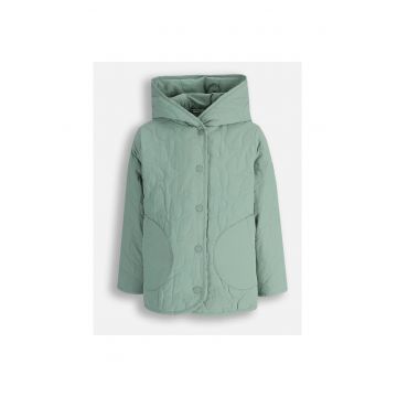verde - Verde
