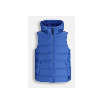 vesta albastru cobalt - Albastru cobalt