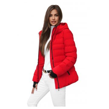 Geaca de iarna femei  JS/M769B