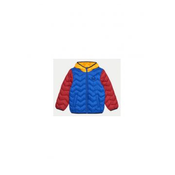 Geaca baieti -  304280733 - Multicolor
