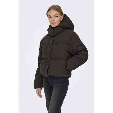 Geaca cu vatelina si guler inalt