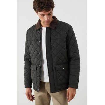 Jacheta matlasata cu guler