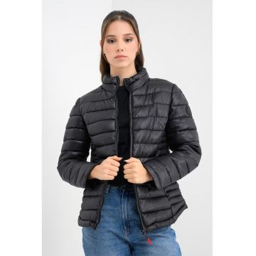 Jacheta matlasata Annecy