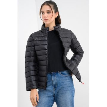 Jacheta matlasata Annecy