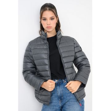 Jacheta matlasata Annecy