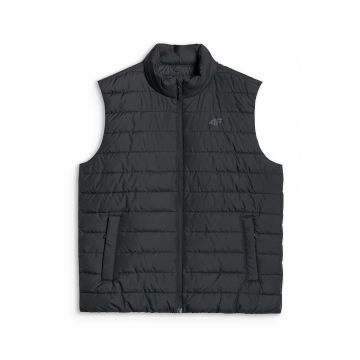 Vesta Matlasata  Negru