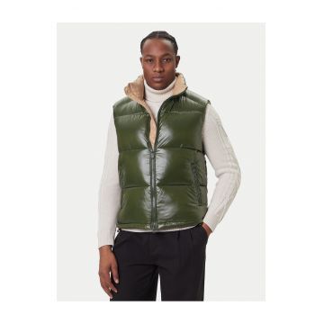 Vesta barbati  verde