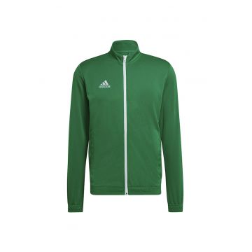 Entrada 22 -  Verde - Verde