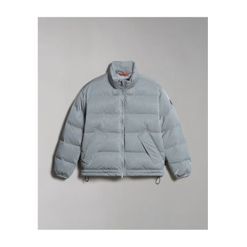 Geaca matlasata Ellis -